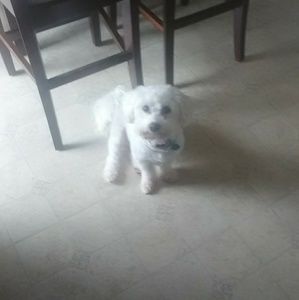 Meet your Posher, Jeremiah